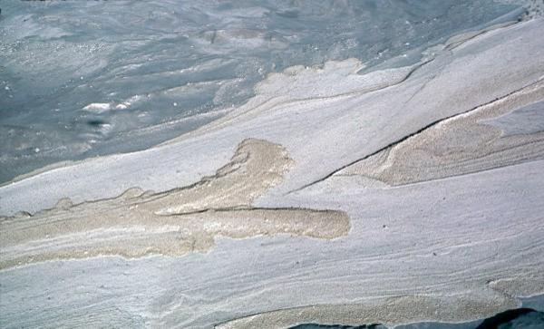 A pyroclastic flow at Mt St Helens